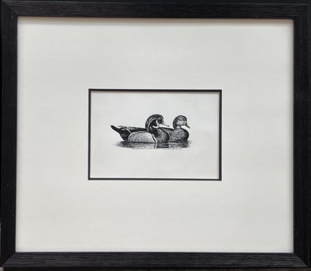 Ducks – Original Pen and Ink