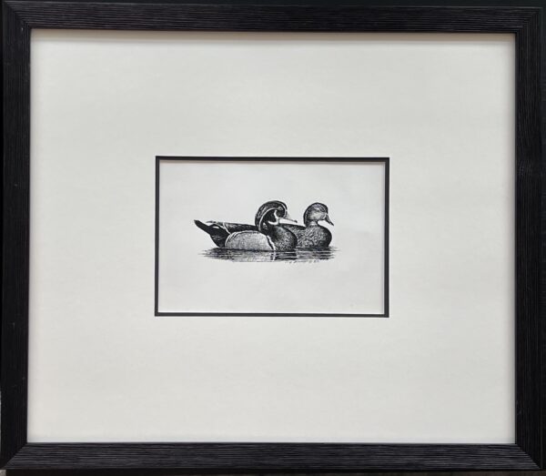 Ducks – Original Pen and Ink